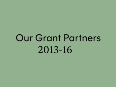 Our Grant Partners 2013-2016